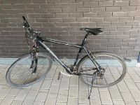 Fahrrad  Herren Mountainbike 26 Zoll BERGAMONT Nordrhein-Westfalen - Geseke Vorschau