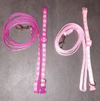 Halsband + Leine - rosa oder pink Nordrhein-Westfalen - Bünde Vorschau