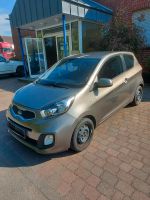 Kia Picanto 2012* 1,0 Ltr *69 PS *TÜV Neu Nordrhein-Westfalen - Beckum Vorschau