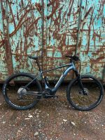 29“ Specialized Levo 2021 Hessen - Körle Vorschau