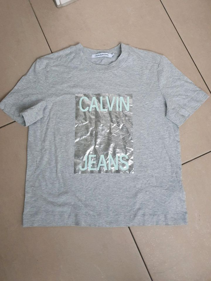 Calvin Klein T-Shirt Shirt h'grau S in Osnabrück