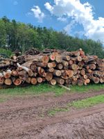 Stammholz Brennholz Buche , Eiche , Laubmix Saarland - Nonnweiler Vorschau