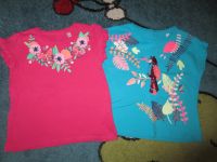Baby Mädchen 2er Set Kurzarm T-Shirts Gr.98 Pink/Blau C&A wie neu Rheinland-Pfalz - Ludwigswinkel Vorschau