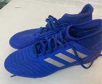 Adidas Predator Fußballschuhe Gr 42 Bayern - Schweinfurt Vorschau