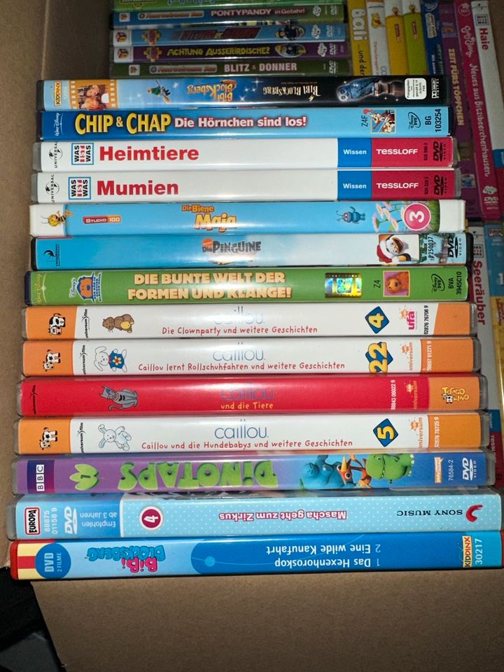 Kinder DVDs,63 Stück,Paw Patrol,Feuerwehrmann Sam,… in Kappeln