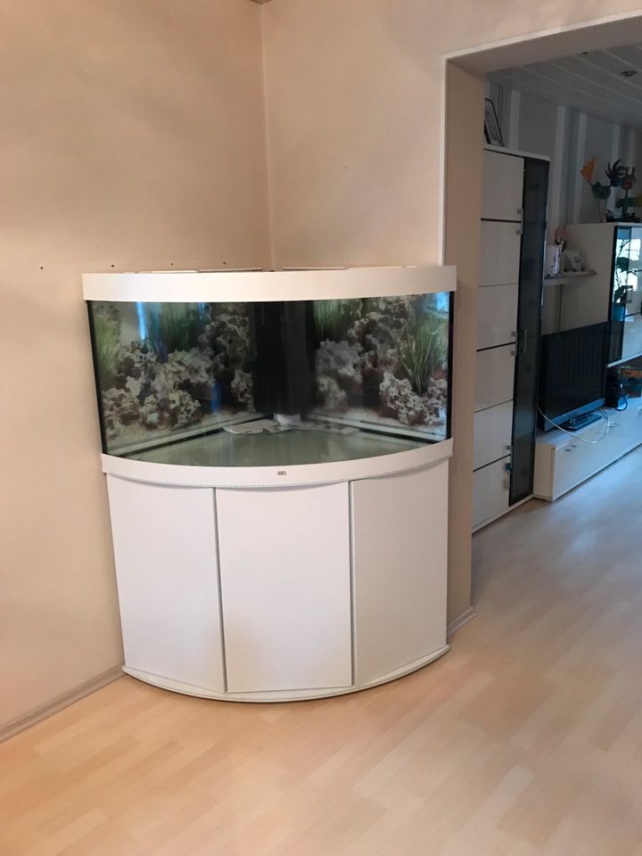 Eckaquarium Juwel 350 l in Merzig