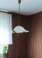 Küchenlampe Lampe Sachsen-Anhalt - Wespen Vorschau