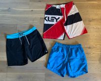 Badeshorts SET Oakley Reef Billabong rot/schwarz/blau Gr. M Niedersachsen - Drage Vorschau