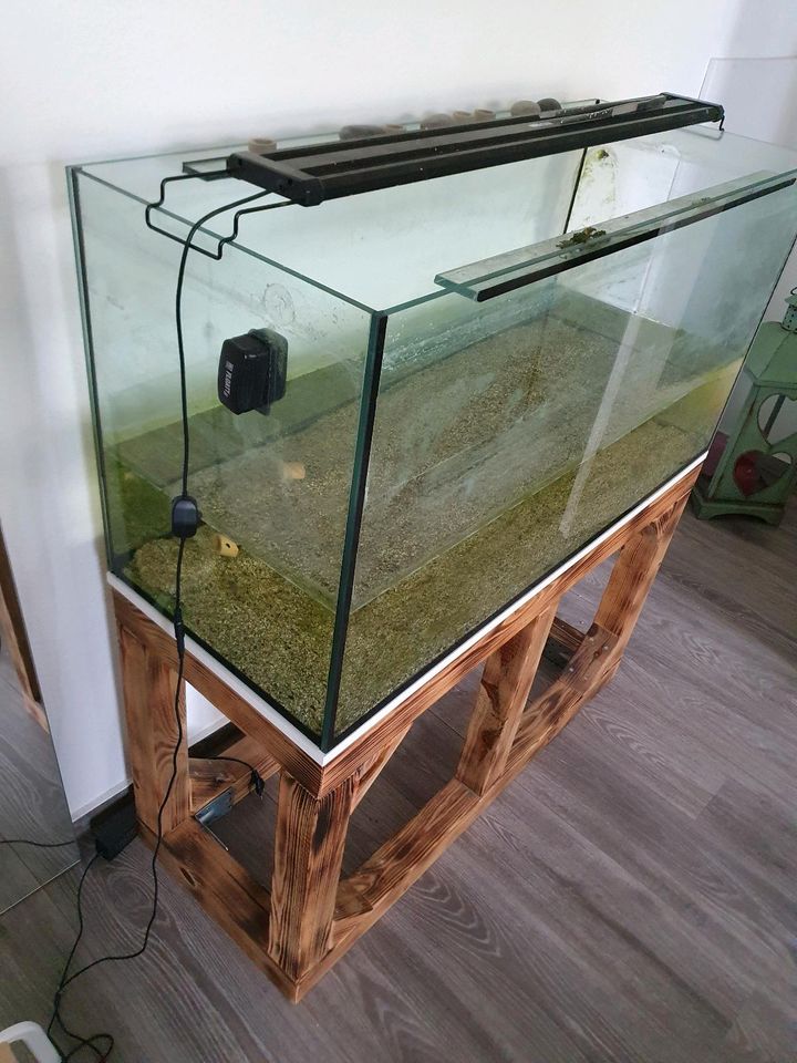 Aquarium 100×50×40cm in Havelsee