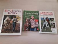 Pferdeschule, Mit Pferden Tanzen, Basistraining, Dressur Schleswig-Holstein - Beringstedt Vorschau
