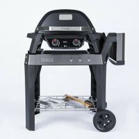 Weber® Puls 2000, Black + Stand (85010079) Nordrhein-Westfalen - Rommerskirchen Vorschau