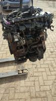 Ford Mondeo III MK3 B4Y B5Y BWY  Motor 2,0 TDCi 85kw Niedersachsen - Bad Harzburg Vorschau