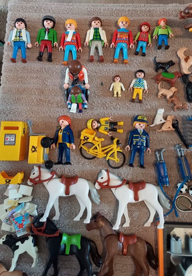 Playmobil Konvolut zu verkaufen / 55 Figuren, 25 Tiere..... in Rehna