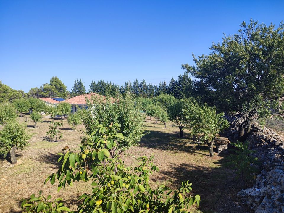 Haus Villa Frankreich - Südfrankreich - Languedoc - Assignan in Reinhardshagen