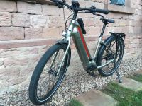 E-Bike Diamant Zouma Hessen - Bad Soden am Taunus Vorschau