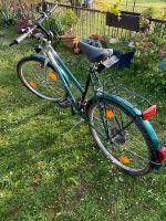 Gebrauchtes Fahrrad Frankfurt am Main - Bergen-Enkheim Vorschau