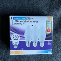 3 LED Glühbirnen Kerzenform E14 250 Lumen NEU Bayern - Würzburg Vorschau