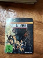 Final Fantasy XII Steelbox edition Niedersachsen - Müden Vorschau