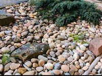 Steine zu verschenken - Flusssteine - Gartensteine Baden-Württemberg - St. Leon-Rot Vorschau