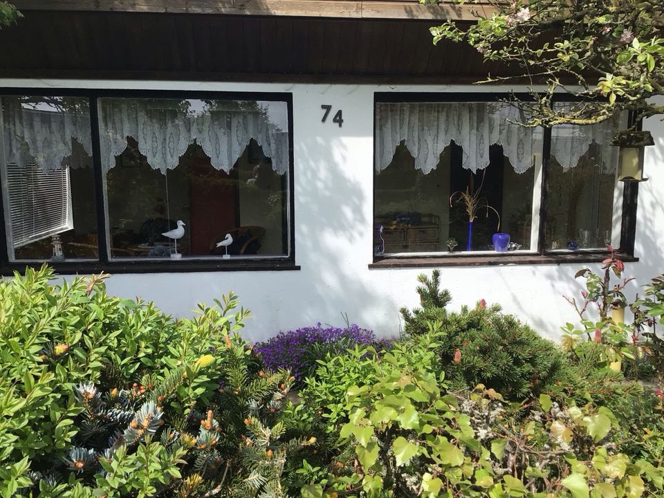 Knüllerpreis 3990€ Garten mit Laube aus Beton in Lambrechtshagen
