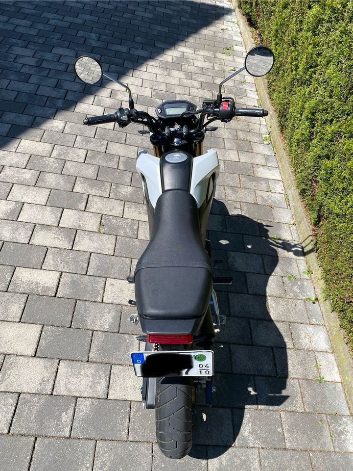 Honda MSX 125 Motorrad Moped A1 Hurric in Schwäbisch Gmünd