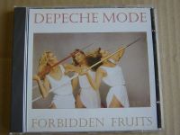 Depeche Mode Dave Gahan CD Sammlung 2 Sachsen - Bernsdorf Vorschau