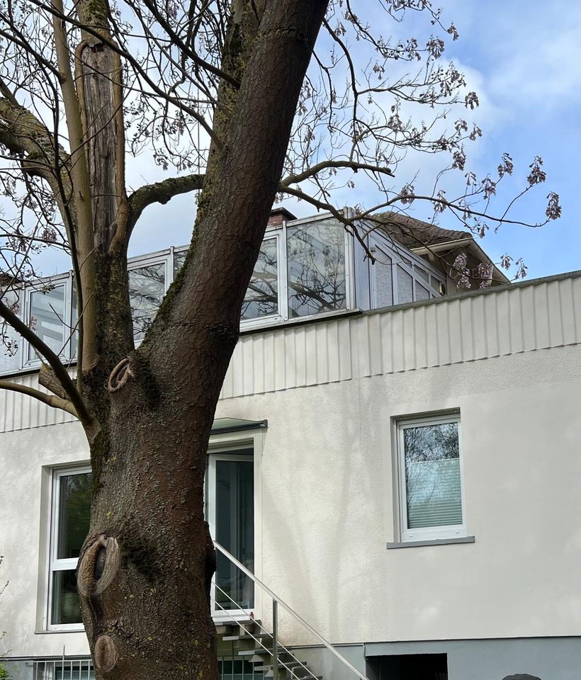 Wintergarten mit Fenster von shuko Dach mit 3 Fenster Gewächshaus in Lich