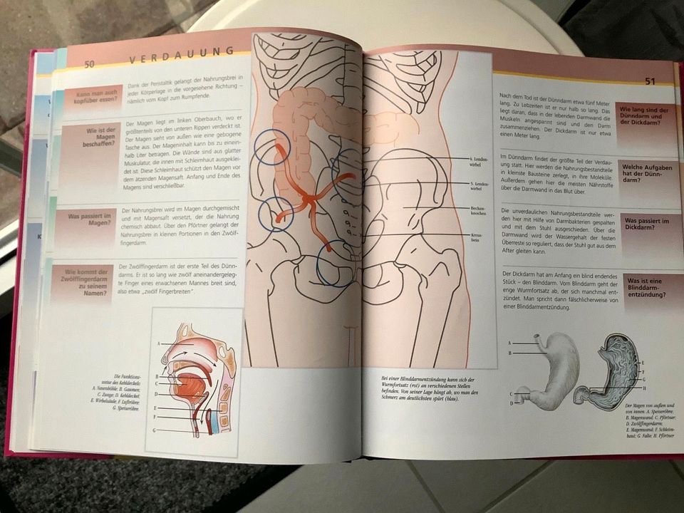 Wissen für Kinder- Der Mensch / Lexikon, Sachbuch in Winseldorf