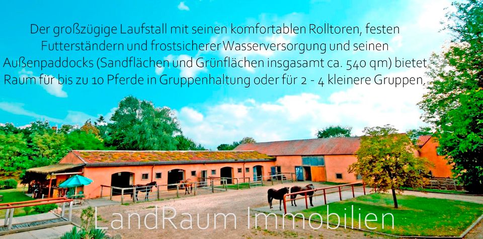 Pferdeanlage - Pferdehof - Reitanlage, 4 FW, 10 ha Land + ca. 5,2 ha Pachtland (bis 31.7.26), Reithalle 20 x 60 m, 2 Aussenreitplätzen (60 x 30 & 30 x 30), Laufstall 16 Pferde+4 Boxen, grosser Scheune in Dreetz