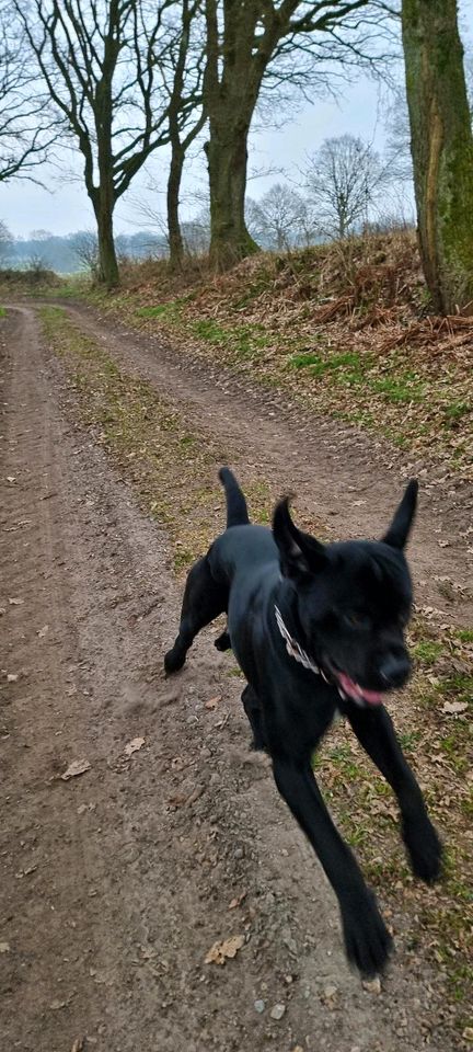 Liebevolle  Hände in Tellingstedt