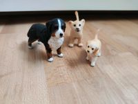 3 Schleich Tiere Bernersennen Hund, Golden Retriever, Löwe Rheinland-Pfalz - Reinsfeld Vorschau