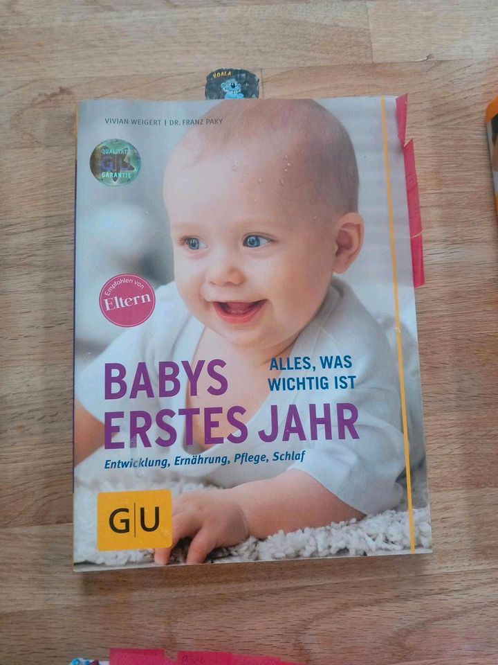 Babys erstes Jahr in Giengen an der Brenz