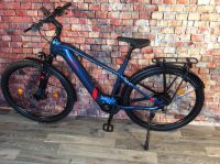 VICTORIA TRESALO 11 Damenrad E-Bike 500Wh Akku Bosch Niedersachsen - Munster Vorschau