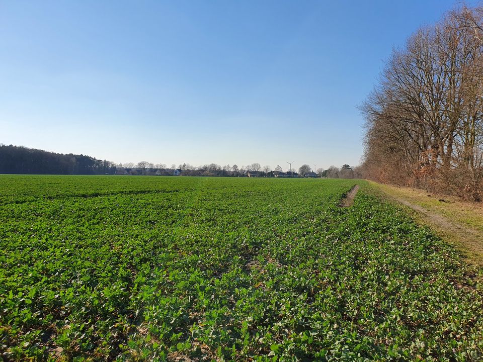 Das clevere Raumwunder 100 im kommenden Baugeb. in Wathlingen. in Wathlingen