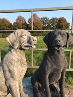 Labrador Retriever 80cm 90kg Lebensgroß Steinguss Labbi Lab Brandenburg - Schönefeld Vorschau