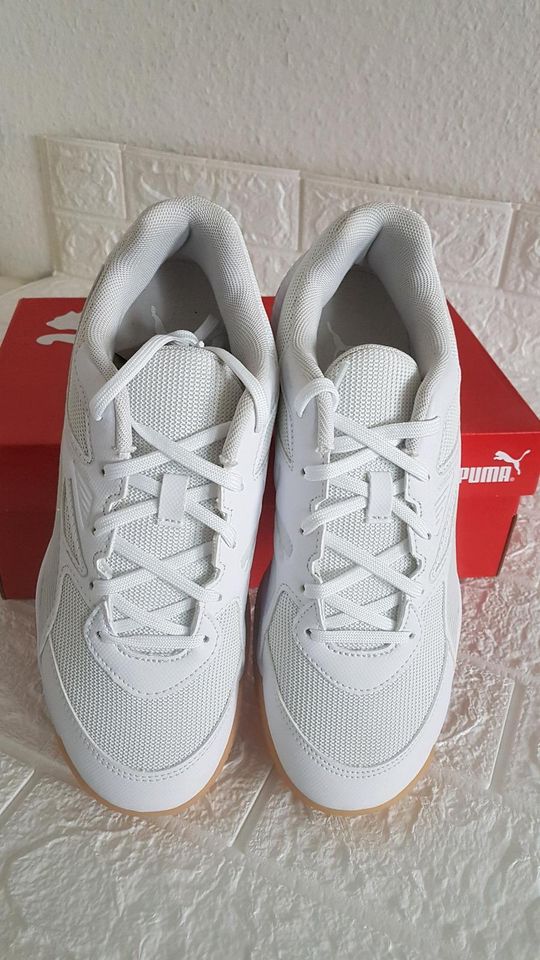 Sneaker Puma Gr.38,5 NEU- Innensohlenlänge 24,5 cm in Berlin