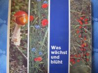 Was wächst und blüht - Sammelbilderalbum Birkel Nudelwerke Westerwaldkreis - Krümmel Vorschau