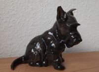 Rosenthal Selb Porzellanfigur Terrier Hund H 16,5 cm Nordrhein-Westfalen - Hürth Vorschau