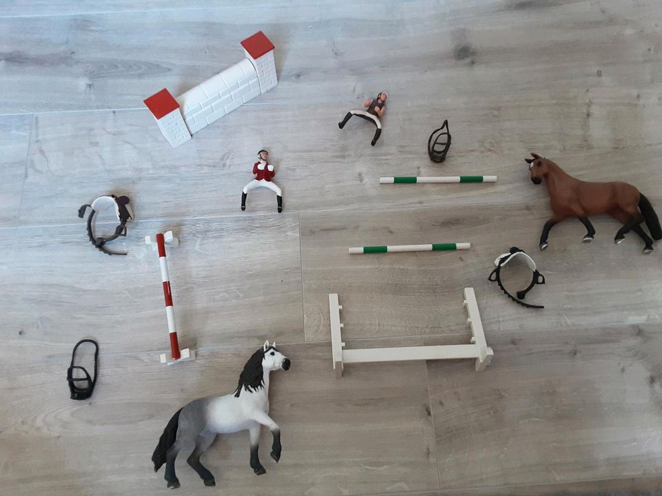 Reitplatz Schleich mit Sprüngen in Alveslohe