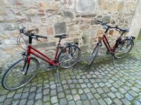 2 neue Gazelle Fahrräder,Misano Fahrrad Damenrad 57 & 53,Goldline Nordrhein-Westfalen - Ochtrup Vorschau