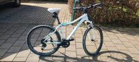 Cube Mountainbike 26 Zoll Bayern - Heroldsberg Vorschau