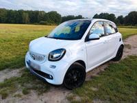 Smart forFour Elektro Brandenburg - Falkensee Vorschau