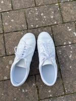 Lacoste Schuhe Brandenburg - Wittstock/Dosse Vorschau