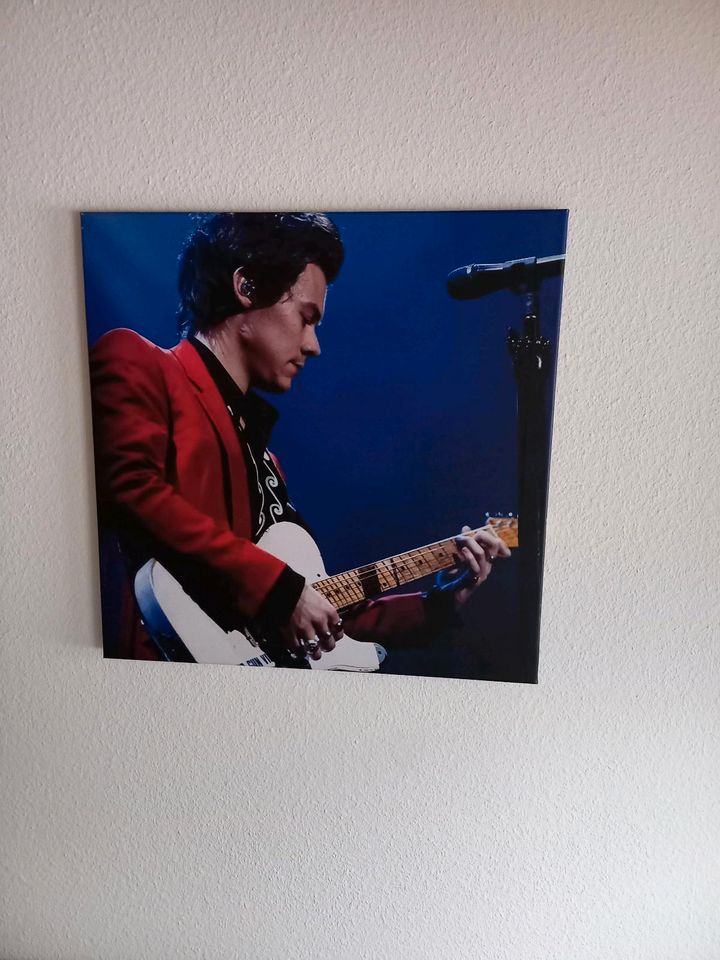 Harry Styles Foto Konzert Oberhausen Poster Leinwand in Dauchingen