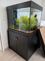 Aquarium 83 * 73 * 140, 350 L Bayern - Kleinwallstadt Vorschau