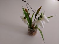 Kunstpflanze Deko Fake Blumen mit Vase Baden-Württemberg - Karlsruhe Vorschau