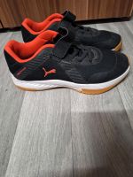 Hallenschuhe 37 Puma Sachsen-Anhalt - Hecklingen Vorschau