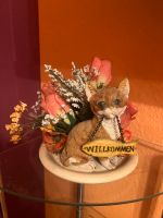 Katzenfigur mit Willkommensschild Dekoration Hessen - Hanau Vorschau