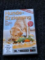 DVD "Hundeerziehung mit System - der Problemhund" Müritz - Landkreis - Penkow Vorschau