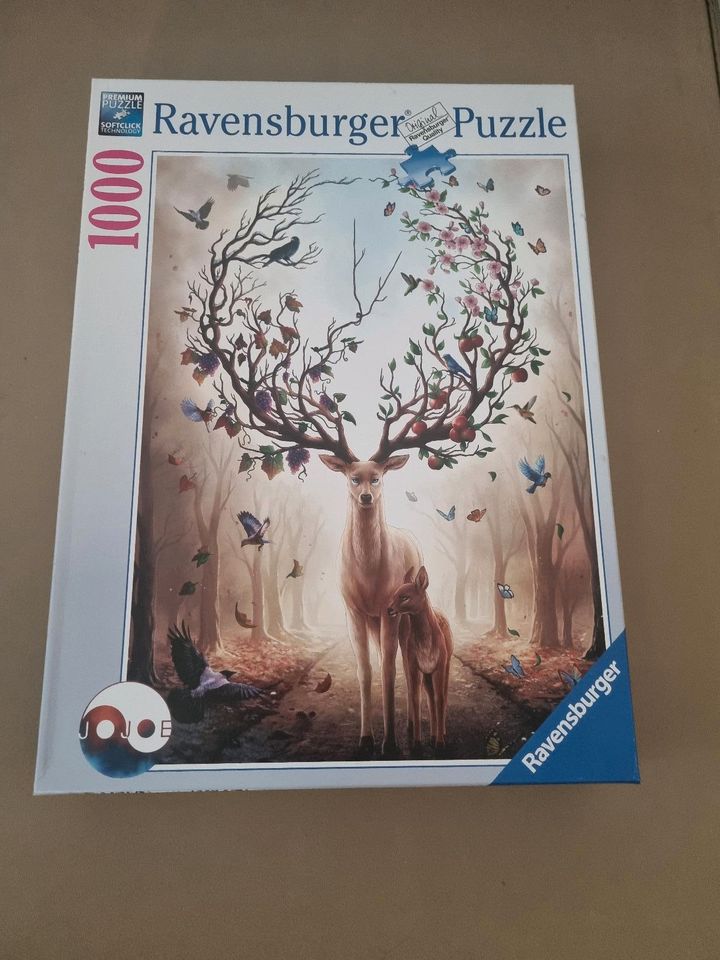 Puzzle 1000 Teile Ravensburger in Berlin